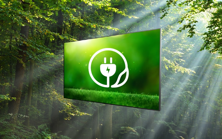 Dieses Bild hebt einen natürlichen Hintergrund au?erhalb des Displays hervor, neben einem Bildschirm, der die Natur zeigt und ein Umweltthema darstellt.