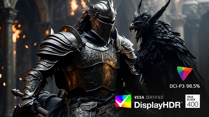 Riddare i svart rustning med en f?gel i en medeltida sal som framh?ver DCI-P3 98,5 % och DisplayHDR 400.	