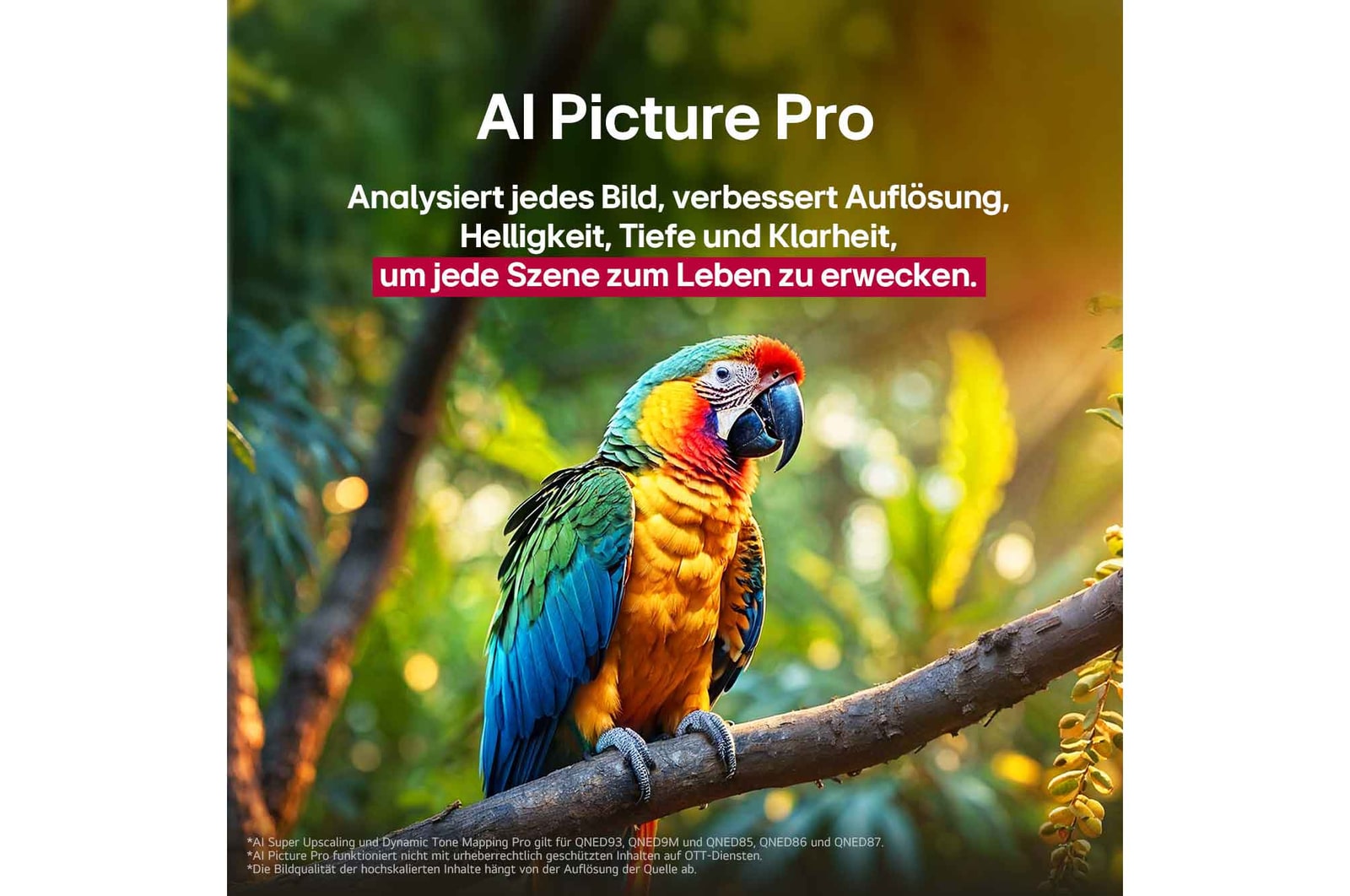 Papagei auf einem Ast in lebendigen Farben. Der Titel beschreibt, wie LG Al Picture Pro die Aufl?sung, Helligkeit, Tiefe und Klarheit der Szene eindrucksvoll verbessert hat.