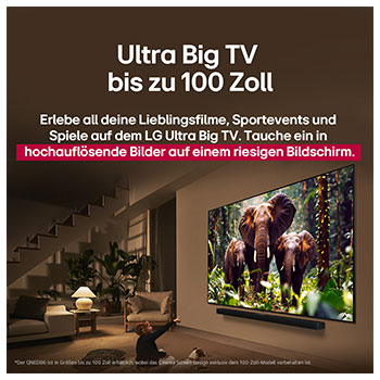Ein M?dchen und ein Hund sitzen vor einem LG QNED-Fernseher, der an einer Wand montiert ist und drei Elefanten zeigt, die über einer LG Soundbar nach au?en laufen. Der Titel spricht davon, dass jede Aktion auf einem gro?en Bildschirm noch spannender ist.