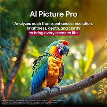 Papagei auf einem Ast in lebendigen Farben. Der Titel beschreibt, wie LG Al Picture Pro die Aufl?sung, Helligkeit, Tiefe und Klarheit der Szene eindrucksvoll verbessert hat.