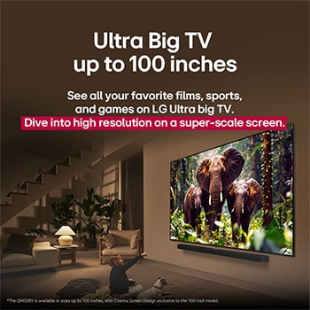 Ein M?dchen und ein Hund sitzen vor einem LG QNED-Fernseher, der an einer Wand montiert ist und drei Elefanten zeigt, die über einer LG Soundbar nach au?en laufen. Der Titel spricht davon, dass jede Aktion auf einem gro?en Bildschirm noch spannender ist.
