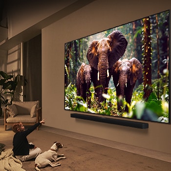 Ein M?dchen und ein Hund sitzen vor einem LG QNED-Fernseher, der an einer Wand montiert ist und drei Elefanten zeigt, die über einer LG Soundbar nach au?en laufen. Der Titel spricht davon, dass jede Aktion auf einem gro?en Bildschirm noch spannender ist.