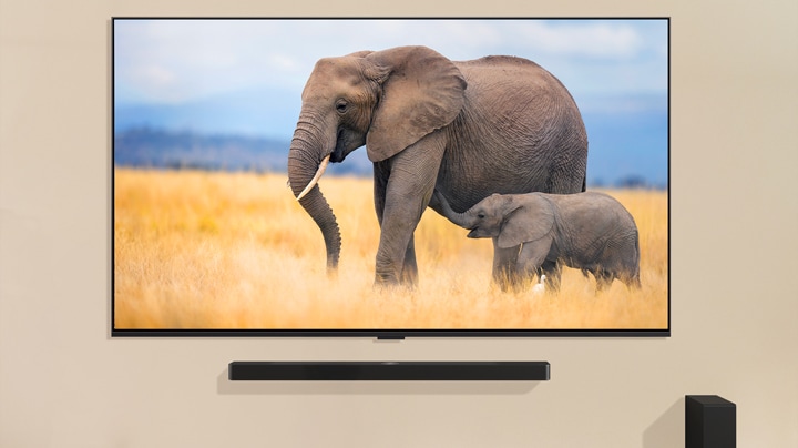 Ein Kind steht vor einem gro?en Fernseher, auf dem zwei Elefanten, ein Erwachsener und ein Baby, auf einer Wiese laufen.