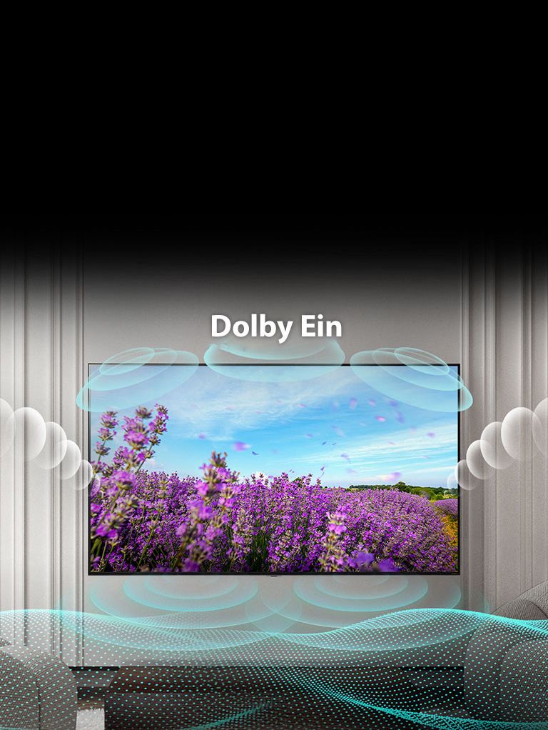 Der Bildschirm eines QNED TV zeigt eine rosa Rapsblüte auf einer Sommerwiese und in der Mitte die Aufschrift Dolby OFF. Das Bild auf dem Bildschirm wird heller und der Text ?ndert sich zu Dolby ON.
