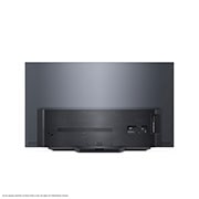 LG 65 Zoll LG 4K OLED TV CS, OLED65CS9LA