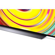 LG 65 Zoll LG 4K OLED TV CS, OLED65CS9LA