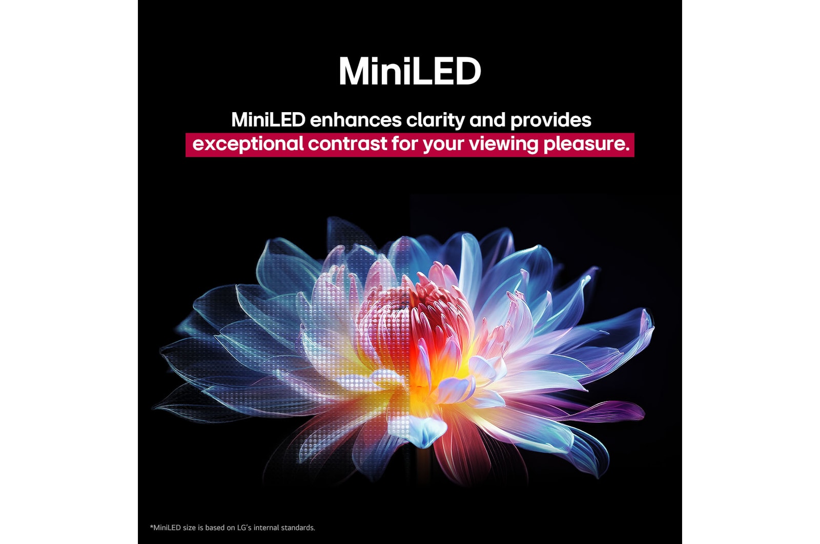 3D-holografisk blomst i mange forskellige nuancer og farver mod en sort baggrund. Blomstens skarphed og detaljer demonstrerer QNED MiniLED’s evne til at fremvise billeder med exceptionel farve, lysstyrke og kontrast. Titlen fort?ller, hvordan MiniLED forbedrer klarhed og giver exceptionel kontrast.