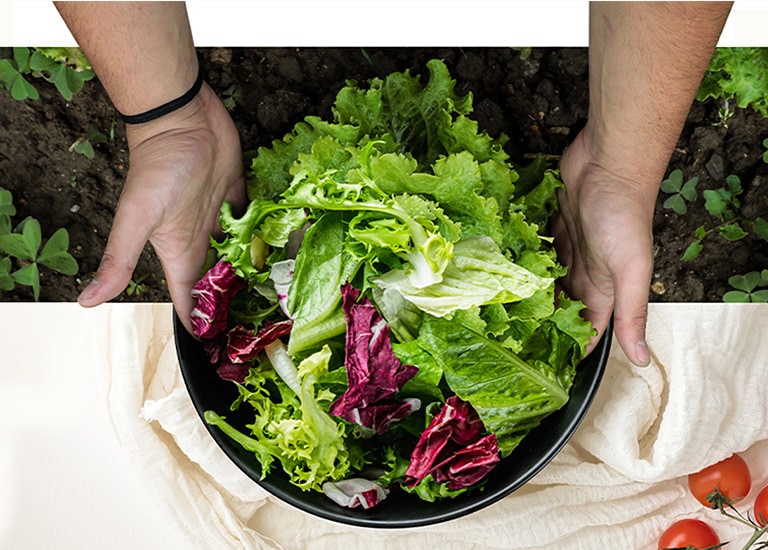 Den ?vre del af billedet viser h?st af salat p? en mark. Den nedre del af billedet er af en frisk salat p? en rund tallerken. Gr?ntsagerne p? disse to billeder er naturligt forbundne, som var de p? ét og samme billede.