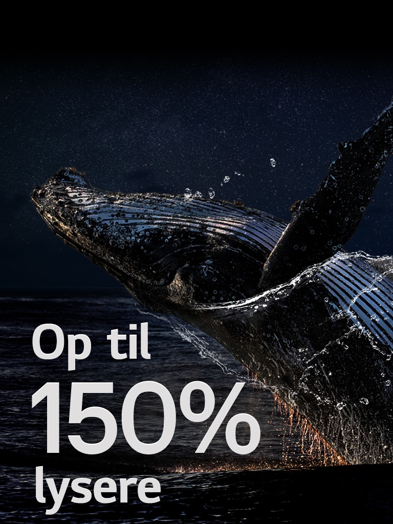 En hval, der springer op af havet p? en sort baggrund. Ordene "op til 150 % lysere" vises over valgene og bliver lysere.