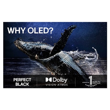 Stue med et v?gmonteret LG OLED TV. P? TV'et ses en bjergk?de mod en m?rk nattehimmel fyldt med stjerner. Denne scene er opdelt i to for at vise, hvordan Perfekt sort leverer ?gte sorte niveauer, uanset om der er lyst eller m?rkt omkring dig. Den ene side viser en mere mat og gr? version af landskabet, som er m?rket “Ikke Perfekt sort sk?rm”. P? den anden side ses et bedre billede med st?rre dynamisk omr?de for sort og hvid. Dette er m?rket “Perfekt sort sk?rm”. Logo-certificering er ogs? synlig, perfekt sort teknologi leverer sorte niveauer under eller lig med 0,24 nit op til 500 lux. En tekstboble ved siden af siger, kontroller certificeringsm?rket for Perfekt sort.