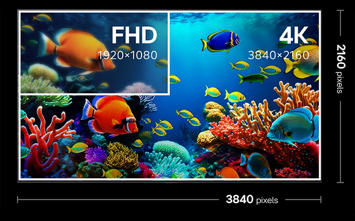 ???? ??????? ???? 4K ???? ??? ???? 3840 × 2160 ????. ???? ?????? ???? ???? ???? FHD. ???? ??? ????? ?? ?????? ?????? ?????? ??? FHD ?4K.