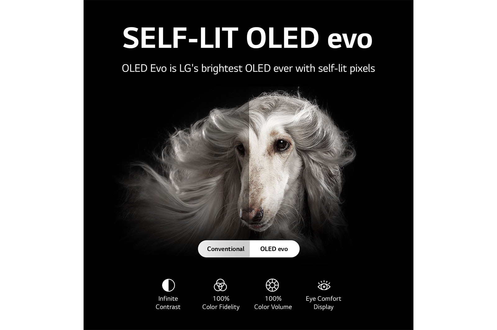 LG ????? LG OLED evo ???? 83 ???? ?? ????? C2? ?? HDR (?????? ?????????? ??????) ????????? ???? 4K ?????  ??????? ???????? ???????? ????? ?????? ?????? AI ThinQ ????????? ????? ????? ??????? WebOS, OLED83C26LA