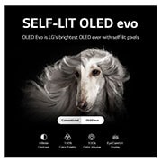 LG ????? LG OLED evo ???? 83 ???? ?? ????? C2? ?? HDR (?????? ?????????? ??????) ????????? ???? 4K ?????  ??????? ???????? ???????? ????? ?????? ?????? AI ThinQ ????????? ????? ????? ??????? WebOS, OLED83C26LA