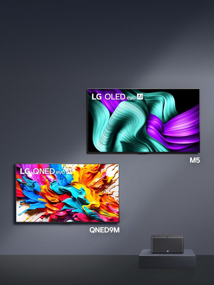 LG OLED M5 and LG QNED9M are mounted on the wall. On each of their screens is an artwork that showcases its impressive visual performance. On a pedestal is the Zero Connect Box.	