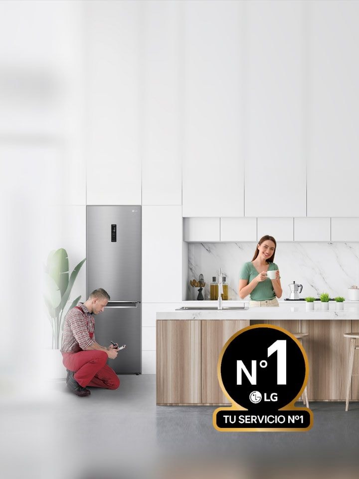 servicios LG