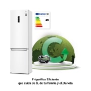 LG Frigorífico Combi 2m, Clasificación C, capacidad de 419l, blanco, serie 700, GBB72SWUCN1