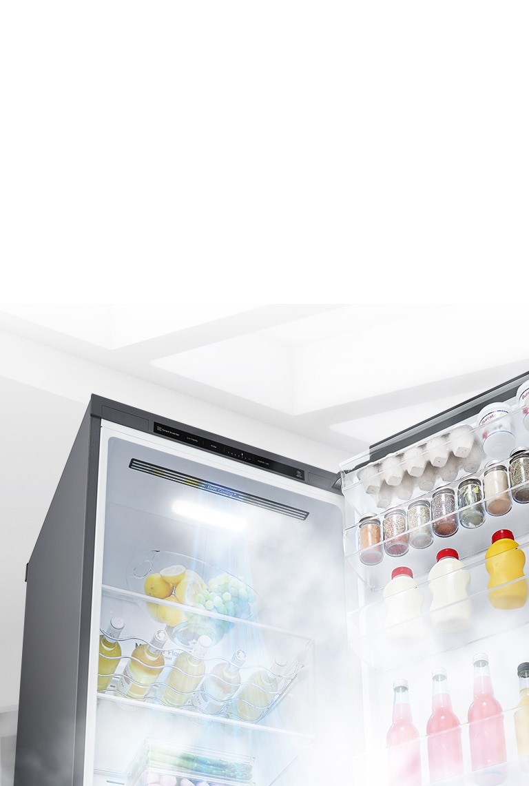 Nevera LG abierta, llena de huevos, condimentos y bebidas, con luz interior brillante y vapor alrededor.