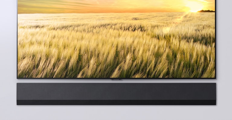 Una vista frontal de un televisor y barra de sonido. La televisión muestra un campo de juncos al atardecer.