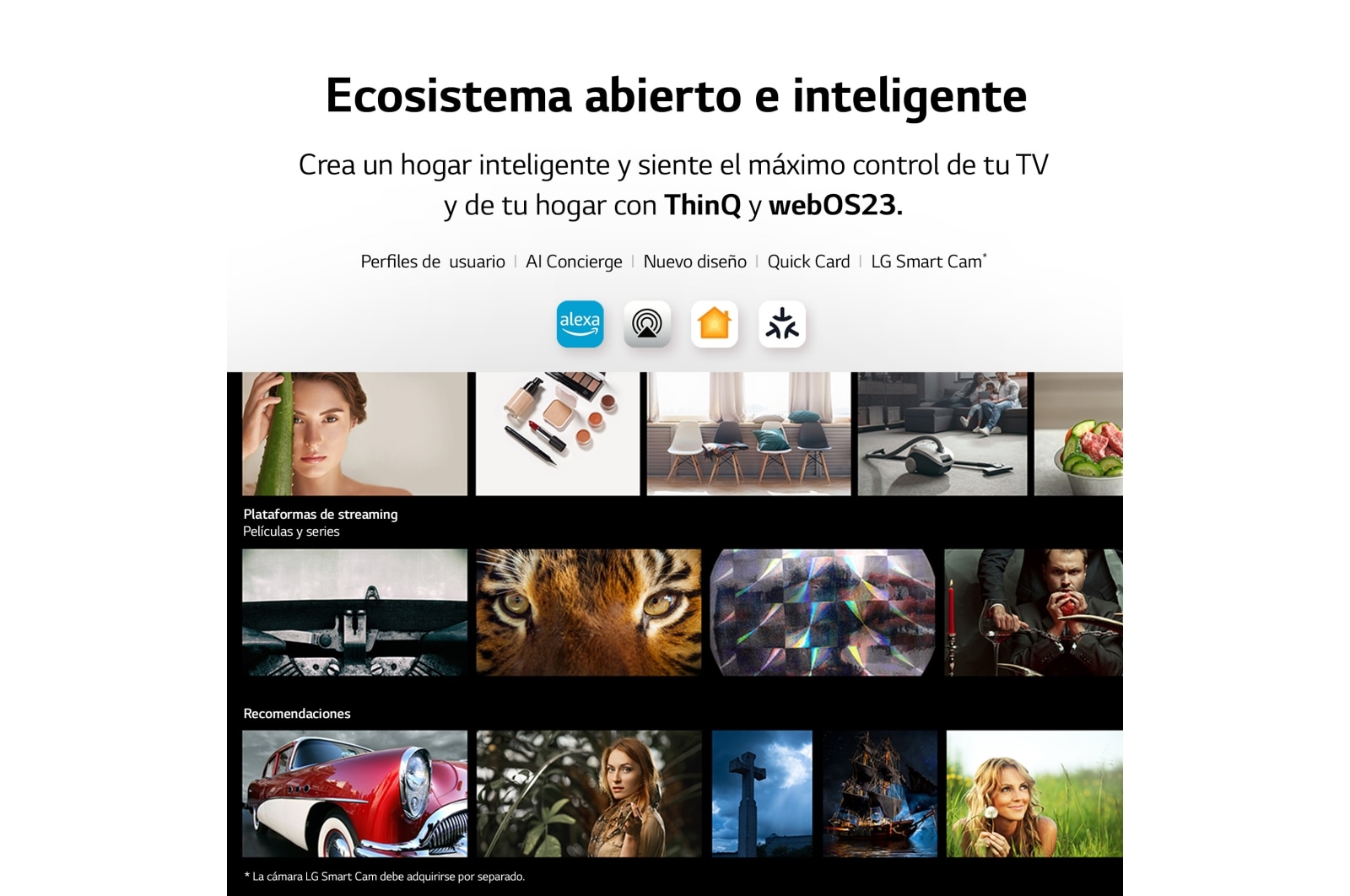 LG TV LG  UHD 4K de 50'' Serie 80, Procesador Alta Potencia, HDR10 / Dolby Digital Plus, Smart TV webOS23., 50UR80006LJ