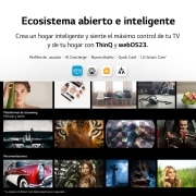 LG TV LG  UHD 4K de 50'' Serie 80, Procesador Alta Potencia, HDR10 / Dolby Digital Plus, Smart TV webOS23., 50UR80006LJ