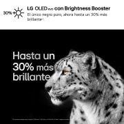 LG 77 pulgadas Smart TV LG OLED evo AI C4 4K 2024, OLED77C46LA