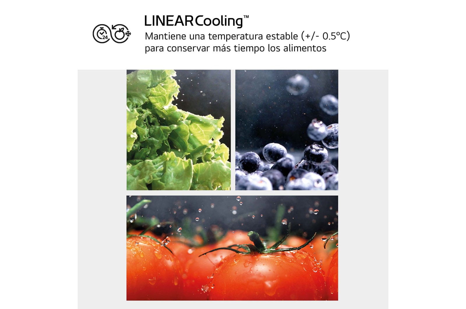 LG Frigorífico combi Instaview con MoodUP Door Cooling+, 1,86 m, Clasificación D, capacidad de 352 l,  Multicolor, GBG719MDNN