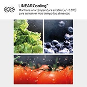 LG Frigorífico combi Instaview con MoodUP Door Cooling+, 1,86 m, Clasificación D, capacidad de 352 l,  Multicolor, GBG719MDNN