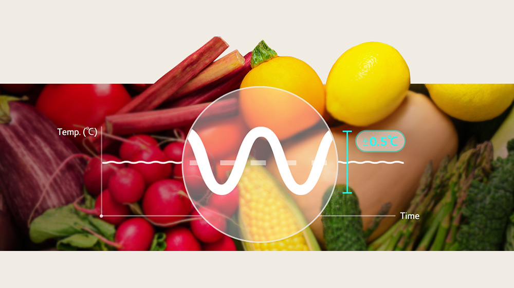 Alimentos frescos durante más tiempo