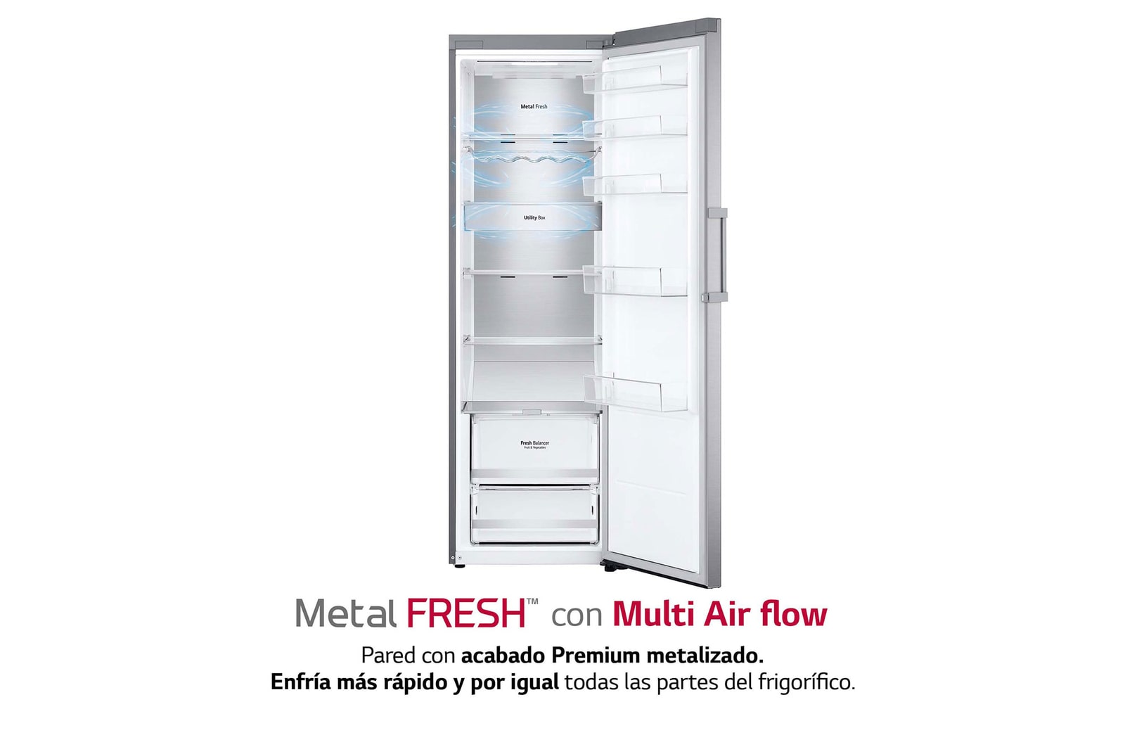 LG Frigorífico 1 puerta Door Cooling, Total No frost, Clasificación D, 413L, Acero inoxidable texturizado, GLM71MBCSF