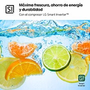 LG Nevera 1 Puerta DoorCooling + Clasificación E, 386L  - Blanco, GLT51SWGSZ