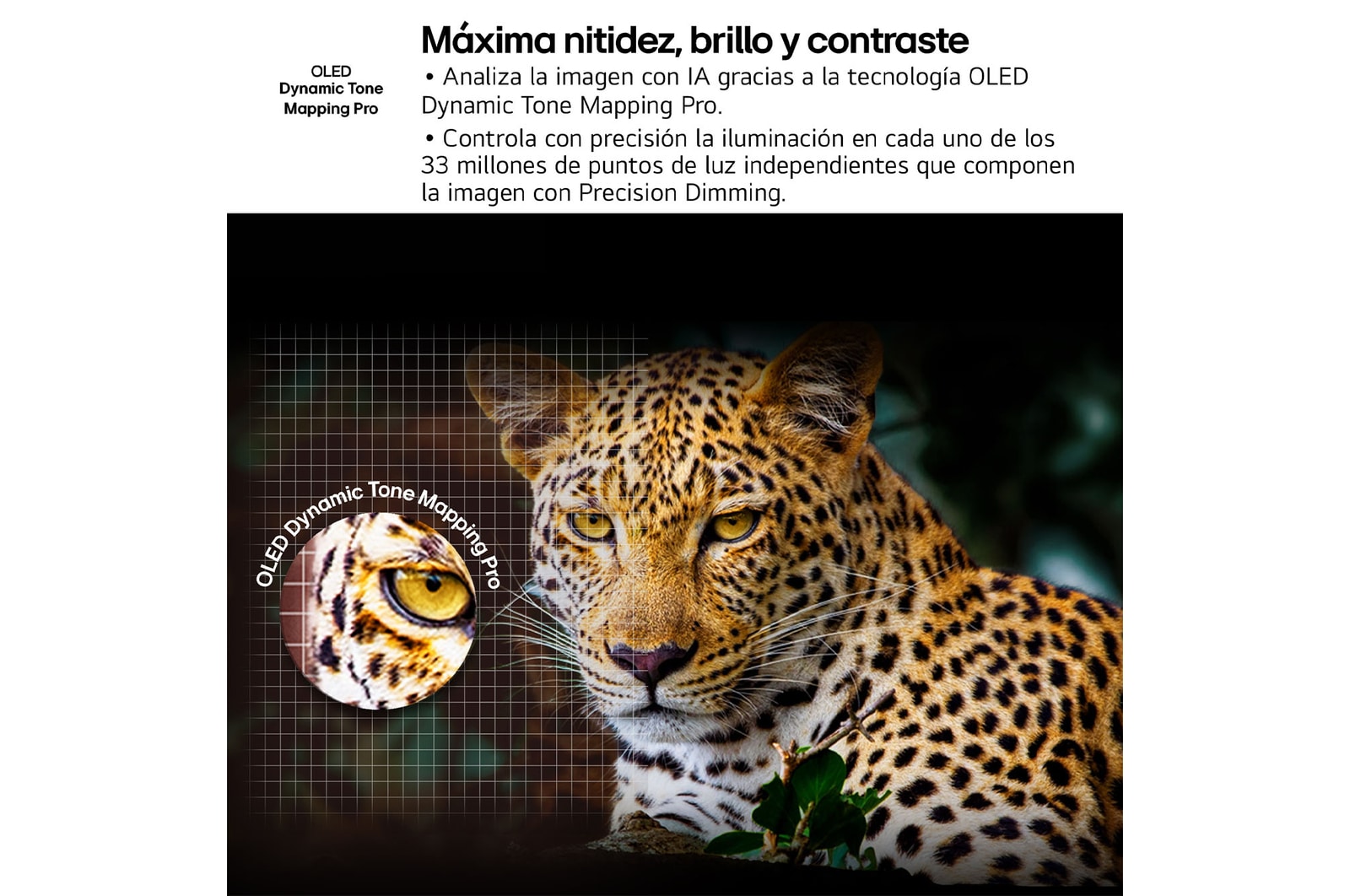 USP : LG webOS, el Smart TV más inteligente, que evoluciona a mejor cada a?o. Preparado para los próximos apagones TDT (1)