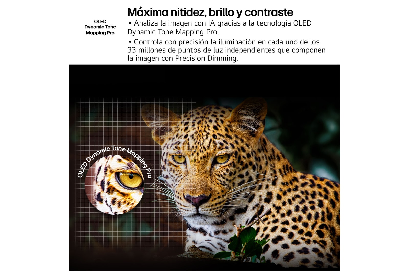 Un salón con una LG OLED TV montada en la pared. En el televisor se ve una cadena monta?osa contra un cielo nocturno oscuro y lleno de estrellas. La escena está dividida por la mitad. Un lado muestra una versión más opaca y gris del paisaje denominada pantalla sin Perfect Black. El otro lado muestra una imagen más agradable con un rango más amplio y dinámico de blancos y negros. Esta pantalla está eqtiquetada como pantalla con Perfect Black. El logo de la certificación también es visible: la tecnología Perfect Black ofrece unos niveles de negro menores o iguales a 0,24 nit de hasta 500 lux. 
