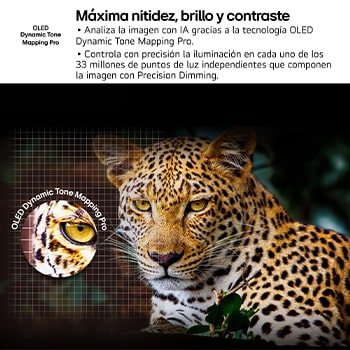En la pantalla de un televisión se muestran fuegos artificiales deslumbrantes y vibrantes. Esto demuestra el 100?% de fidelidad de color que presenta colores precisos incluso con la luz del sol.  El logo de la certificación también es visible: la tecnología Perfect Color ofrece niveles de consistencia de color superiores al 99% de hasta 500 lux. A su lado también está la certificaciones independiente de Intertek.
