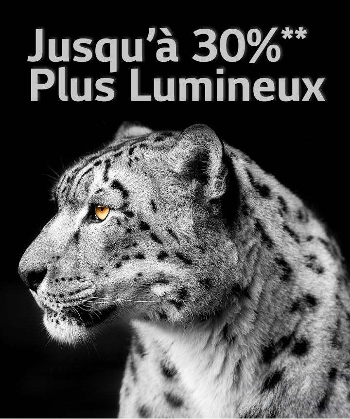 La tête d'un léopard blanc vue de c?té. Les mots à gauche "Jusqu'à 30% plus lumineux" montrent le Brightness Booster de LG.
