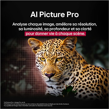 Leopard in the forest in vivid color and detail. The leopard has a grid and a light glowing behind it, indicating how LG AI Picture Pro made impressive visual enhancements to the scene's resolution, brightness, depth, and clarity.