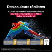 Des feux d'artifice éblouissants et aux couleurs vives sont affichés sur un écran de télévision. Ce feu d'artifice démontre une fidélité des couleurs de 100 %, affichant des couleurs précises même en plein soleil. La certification du logo est visible, la technologie Perfect Colour offre des niveaux de cohérence des couleurs de plus de 99 % jusqu'à 500 lux. Les certifications Intertek attestant de l'indépendance des tests sont également présentes.