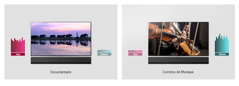 Deux images c?te à c?te de téléviseurs muraux et de barres de son. L'une des télévisions montre des éléphants et l'autre un orchestre. Il y a deux graphiques à c?té de chaque téléviseur.