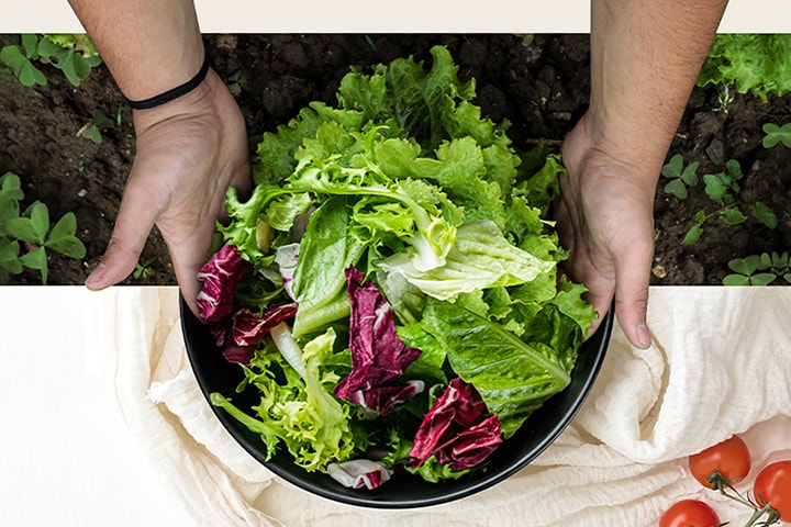La partie supérieure de l’image montre la récolte de laitue dans un champ. La partie inférieure de l’image montre une salade fra?che dans une assiette ronde. Les légumes dans ces deux images sont connectés de manière naturelle comme s’ils n’étaient qu’une image.
