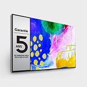 LG TV LG OLED evo G2 | Gallery Edition | 2022 | 55'' (139 cm) | UHD | Processeur α9 Gen5 AI, LG OLED55G26LA