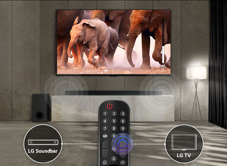 Le téléviseur installé dans une pièce aux lumières subtiles diffuse des images d’éléphants qui marchent. Un effet sonore est visible sur la barre de son sous le téléviseur. Au bas de l’image, on peut voir une télécommande du téléviseur, et la barre de son et l’ic?ne du téléviseur sont connectées à gauche et à droite de la télécommande.