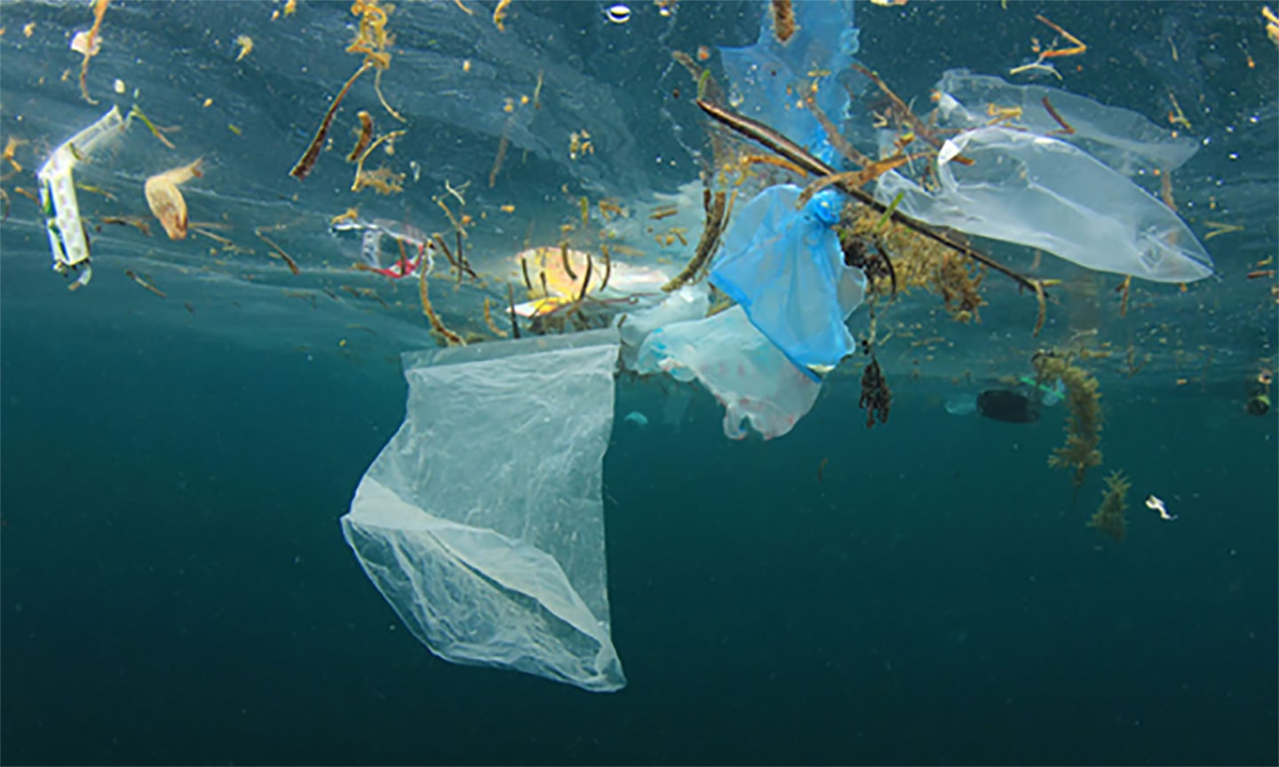 Observing World Environment Day With a Little Less Plastic