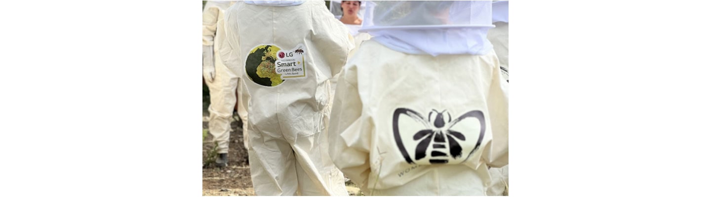 Saving Native Bees to Help Local Biodiversity Thrive