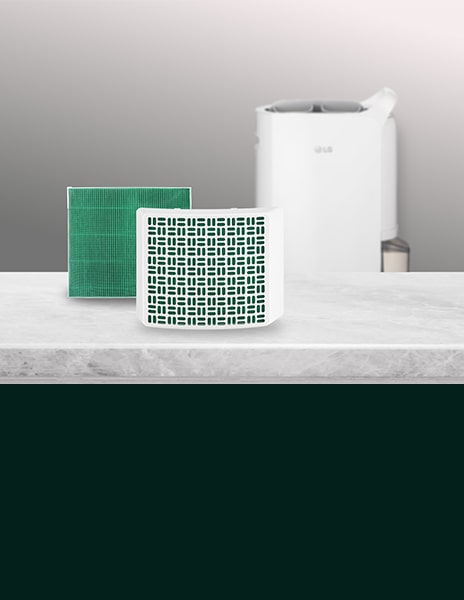 This is a picture of the LG dehumidifier air purification filter kit