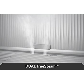 Dual TureSteam