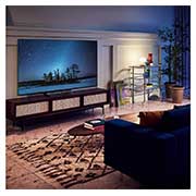 LG OLED evo 65" G2 4K TV HDR Smart (164 cm), OLED65G23LA