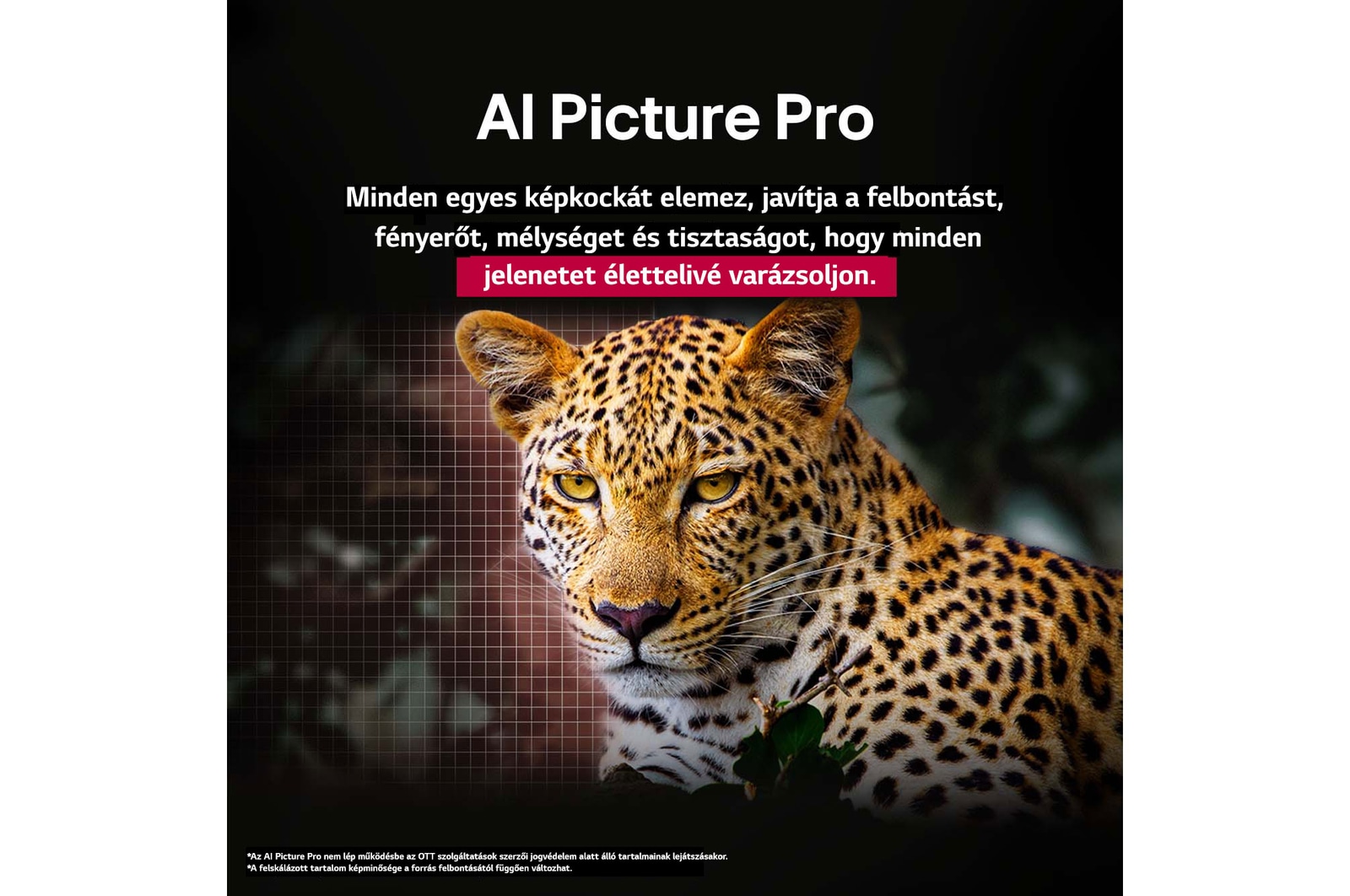 AI Picture Pro ?sszefoglalva