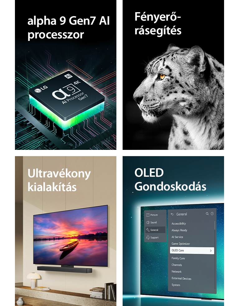 Az LG alpha 11 AI 4K processzora egy alaplap fels? részén lila és rózsaszín fénycsóvákat bocsát ki.	  Egyfalas kialakítású LG OLED G4 és LG hangprojektor egy modern lakótérben, laposan a falra szerelve.  LG OLED Care+ és 5 Year Panel Warranty (5 év panelgarancia) logó fekete háttér el?tt.  Brightness Booster Max a vízb?l kiugró bálna képével a csillagos éjszakai égbolt el?tt.