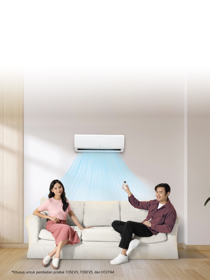 LG Home Entertainment