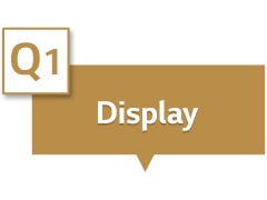 Disebutkan "Display" di kotak teks.